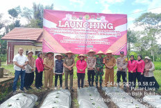 Dukung Program Pangan-Makan Bergizi Gratis, Polsek Balikbukit Luncurkan Program P2L 