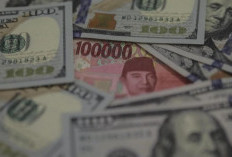 Bos BI Tak Segan Pakai Cadangan  Devisa Demi Stabilkan Rupiah