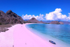 Menyusuri Pesona Pink Beach di Komodo