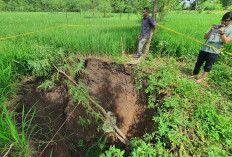 Fenomena Sinkhole Marak, BRIN Ungkap Lubang Ambles Sulit Kembali Normal