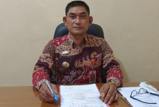 Pemkab Lambar Kembali  Siapkan Beasiswa Kedokteran 