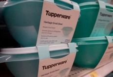 Tutup Layanan di Indonesia, Ini Sosok di Balik Kesuksesan Tupperware