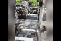 Pemasangan Stairlift di Candi Borobudur Dinilai Langgar Prinsip Pelestarian Warisan Dunia