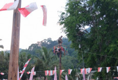 Jadi Pesta Rakyat, Kemeriahan HUT RI Menyala hingga ke Pekon 