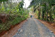 Akses Perkebunan-pemukiman Warga,  Pekon Marang Bangun Jalan Sepanjang 1,4 KM