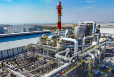 Smelter Baru Freeport di Gresik Didorong  Capai Produksi Maksimal Akhir Tahun
