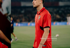 Persib Resmi Rekrut Thom Haye untuk Musim 2025/26