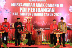 PDIP Lambar Konsolidasi Total, Penyeimbang Kekuasaan