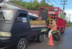 Diskopdag Pastikan Tak  Ada Kelangkaan LPG 3 Kg