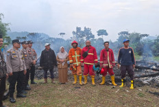 Gubuk di Kebun Kopi Ludes Terbakar