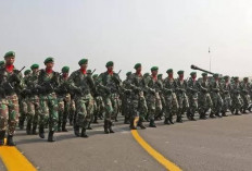 UU TNI, Komnas HAM Khawatir   Hidupkan Kembali Dwifungsi