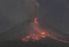 Aktivitas Vulkanik Gunung Merapi Meningkat, BPPTKG Imbau Masyarakat Waspada