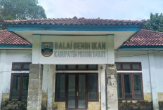 Penjualan Benih Ikan di BBI Pesbar Masih Tertahan Regulasi