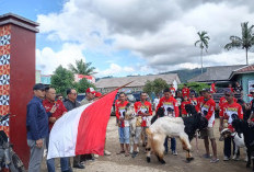 Kontes Kambing Favorit di Pekon Trimulyo, Meriahkan HUT RI ke-80 Sekaligus Dorong Peternakan Modern