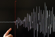 BMKG Imbau Warga Pesisir Sulut-Papua Waspadai Potensi Tsunami Akibat Gempa M8,7 di Rusia