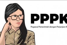 755 Peserta Seleksi PPPK Tahap II Memenuhi Syarat