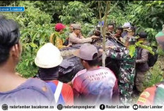Harimau Terperangkap di Sukabumi Diperkirakan Jantan, Tim Dokter BKSDA Menuju Lokasi