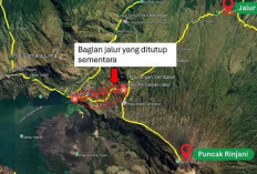 Jalur Curam Pelawangan Sembalun Diperbaiki, TNGR Pasang Anak Tangga Demi Keselamatan Pendaki