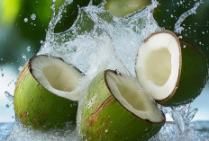 Tiga Waktu Terbaik untuk Minum Air Kelapa 