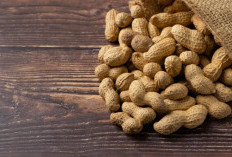 Nikmati Lezatnya Kacang dan 5 Manfaat Penting bagi Kesehatan