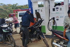 Konsumsi BBM di Lambar  Naik Tajam saat Panen Kopi