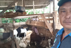 BPP Kebuntebu Dorong Petani  Kembangkan Sistem Pertanian