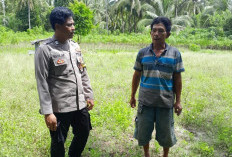 Imbauan Keamanan dan Keterlibatan Masyarakat, Bhabinkamtibmas Sambangi Masyarakat Pekon Padang Haluan