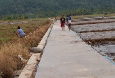 Masyarakat Pekon Bandar Agung  Rasakan Manfaat Jalan Usaha Tani