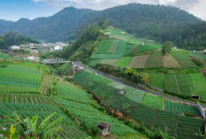 Tawangmangu, Pusat Wisata Sehat Berbasis Herbal di Lereng Lawu