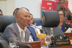 Gejolak IHSG dan Evaluasi MSCI,  DPR Dorong Pembanding   Agar Pasar Lebih Seimbang