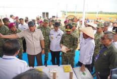 Satu Tahun Tanpa Kejelasan, Petani Keluhkan Harga Singkong  ke Menteri Pertahanan dan Pertanian