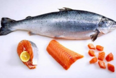 Alternatif Sumber Kalsium: 4 Jenis Ikan yang Baik untuk Tulang