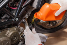 Berikut Tanda Oli Gardan Motor Matik Perlu Diganti
