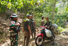 Sejumlah Warga Dengar  Auman Harimau, Tim Gabungan Langsung Cek Lokasi