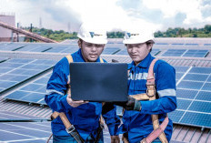 Rekor Energi Bersih Dunia Tercapai, Amerika Serikat Justru Mundur