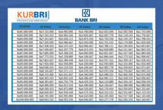 UMKM Kini Bisa Ajukan Modal Tanpa Jaminan, BRI Rilis Tabel KUR 2025: Pinjaman Rp100 Juta Cicilan Mulai Rp2 Jut