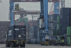 Ekspor AS ke Indonesia Bebas Tarif,  Berikut 10 Daftar Barangnya