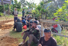 Warga Pekon Sidodadi Gelar Gotong Royong Cor Jalan