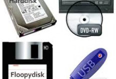 Storage Device: Contoh dan Fungsinya