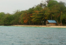 Kiluan: Pulau Eksotis dan Warisan Legenda Raden Antawijaya