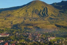  Destinasi Mangrove Eksotis  yang Kian Diminati Wisatawan