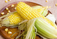 Pemerintah Gelontorkan Rp40 M  untuk Riset Jagung - Bawang Putih