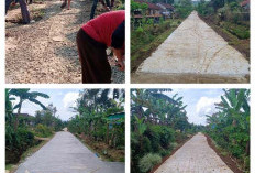 Proyek Fisik Tahap I Pekon  Trimulyo Rampung 100 Persen