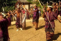 Keindahan Tarian Adat Mamuju yang Memperkuat Identitas Budaya