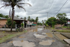 Warga Suoh dan BNS Tagih Aksi   Pemprov Atasi Jalan-Jembatan Rusak