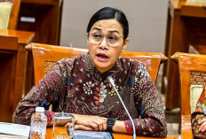 Sri Mulyani Akan Jadi Anggota Dewan Pengawas Danantara 