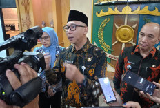 Pelestarian Alam Jadi Kunci Mitigasi, Gubernur Mirza Tegaskan Usai Banjir 