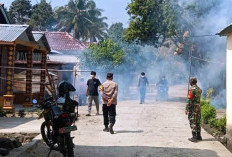 TANGGULANGI DBD DI BUAYNYERUPA, Puskesmas dan Pemerintah Adakan Fogging dan PSN 