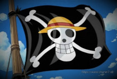Pengibaran Bendera One Piece Dinilai Sebagai Tindakan Provokatif