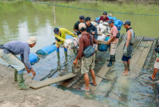 Jembatan Gantung Way Pemerihan Dibangun 2026